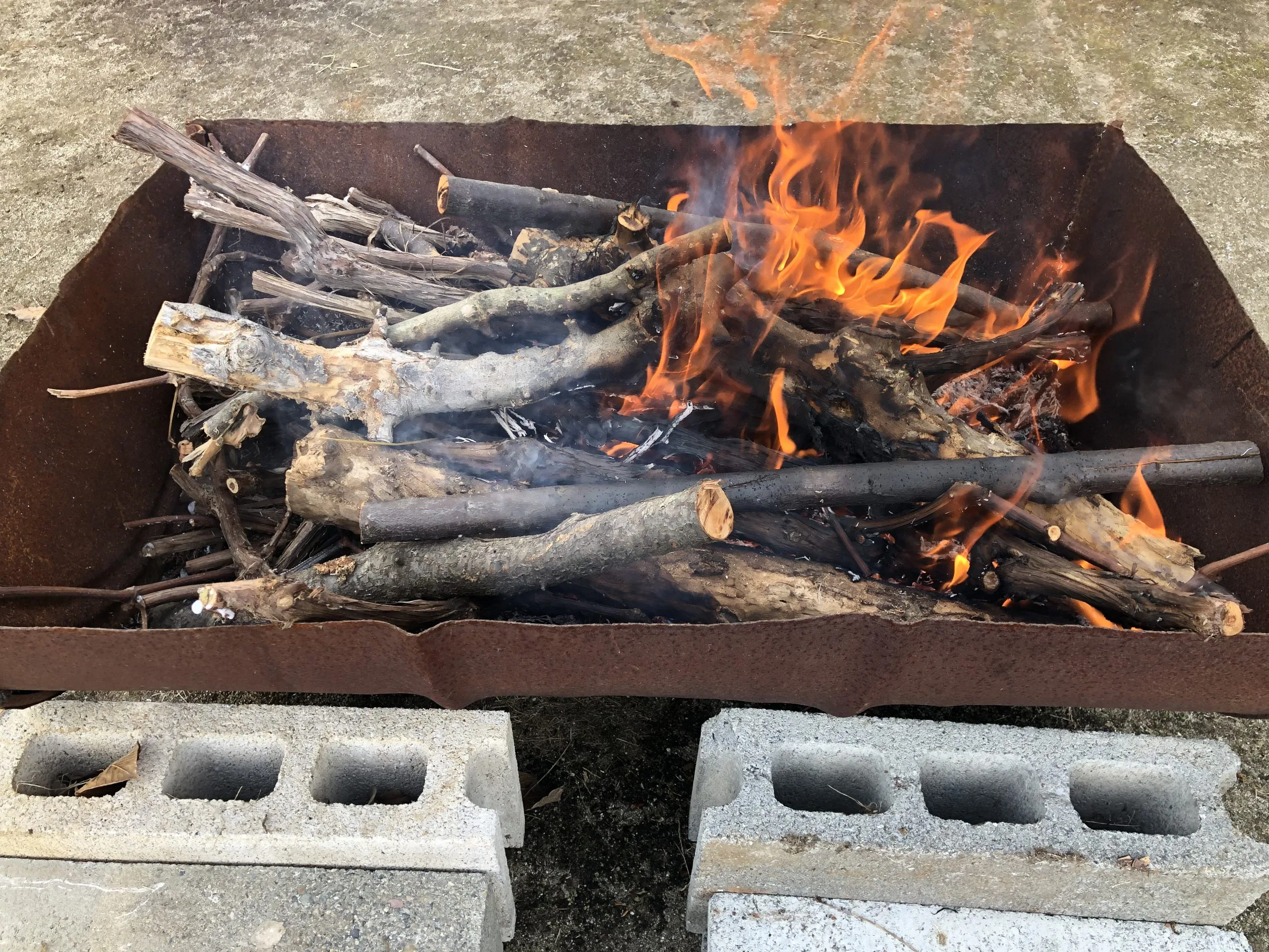 やきいも会 日下部記念病院